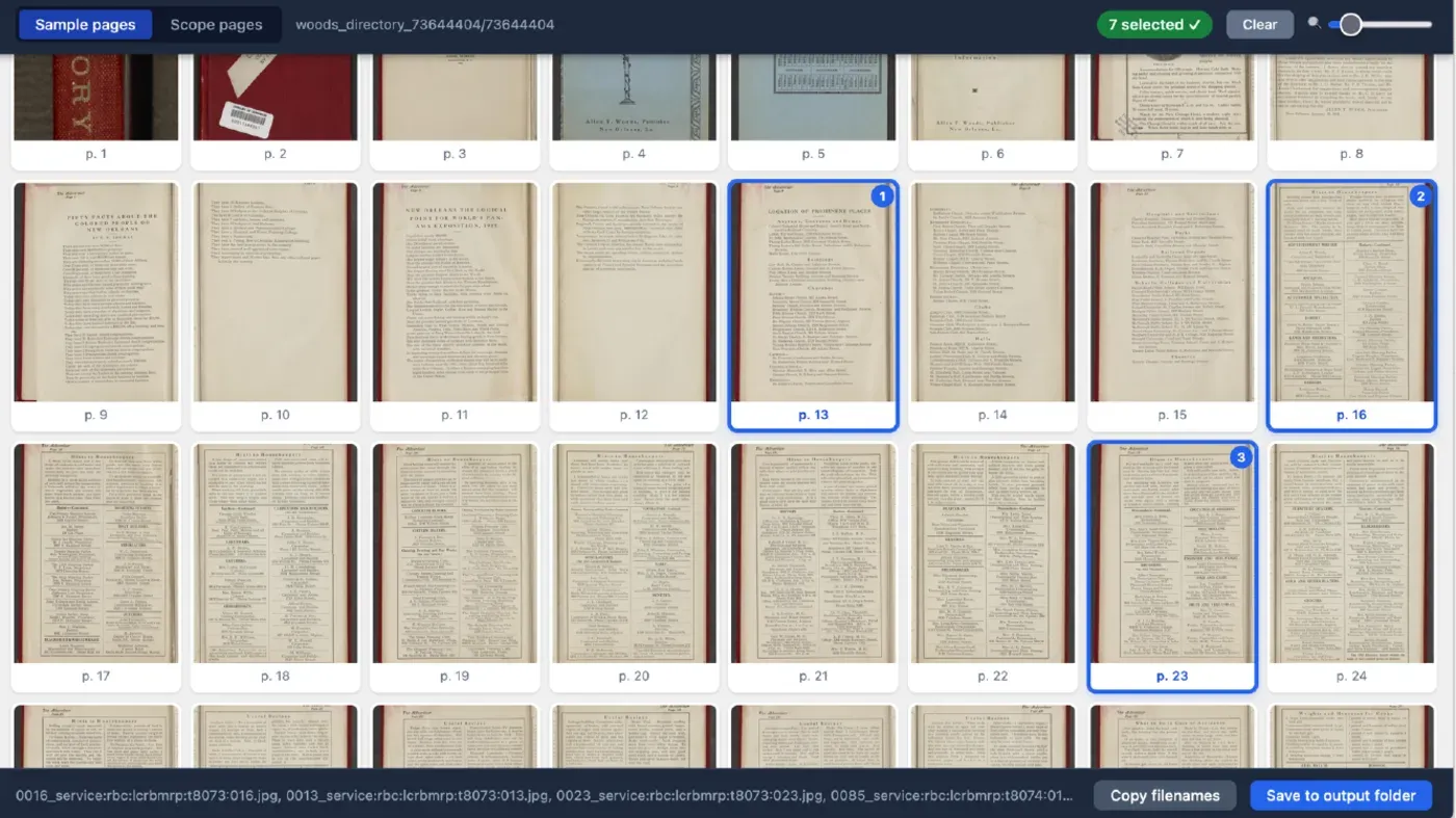 The page selection interface, showing a grid of page thumbnails with several selected as samples