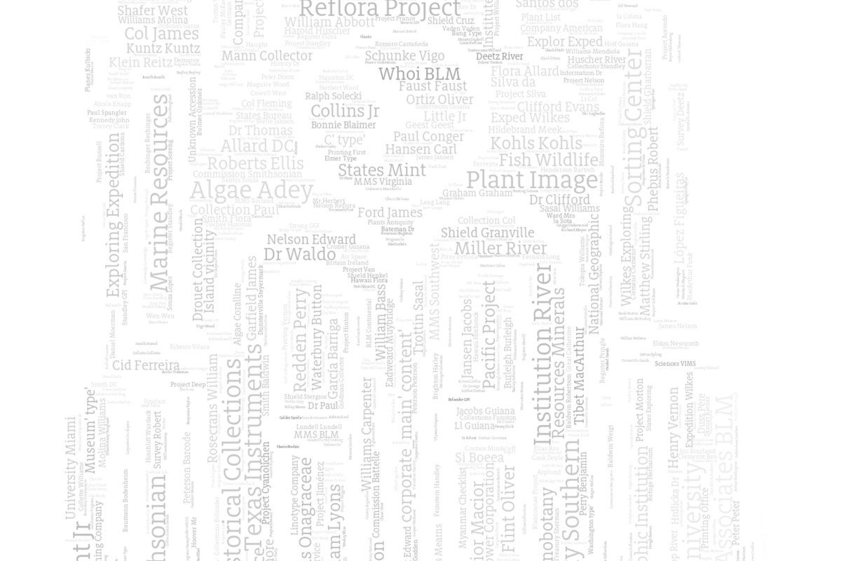 Detail of the word cloud, showing names such as Reflora Project, Marine Resources, and Plant Image in pale grey type